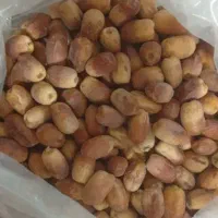خرما زاهدی