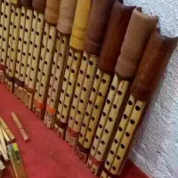 نی انبان،نی تکی،نی جفتی، پوست نی انبان.پیکو