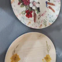 ظرف نگهدارنده|ظروف نگهدارنده، پلاستیکی، یک‌بارمصرف|دوگنبدان, |دیوار