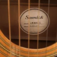 گیتار آگنوستیک