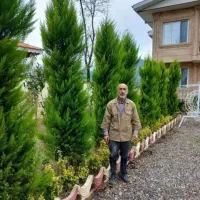 خدمات باغبانی گل کاری هرس کاری تعویض خاک گلدان