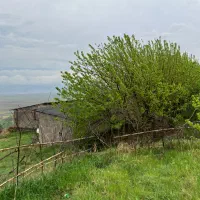 سرایدار برای باغ /رستم آباد/بدون حقوق