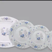 ارکوپال تعدادی ظرف پذیرایی