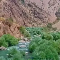 داوطلب برای ورزش وپیادروی