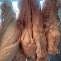 دنبه بره پروار