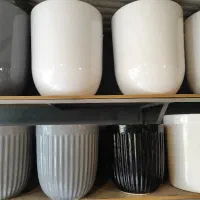 گلدان سرامیکی و سفال|گل و گیاه طبیعی|تهران, شهرک امید|دیوار