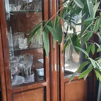 بوفه چوبی عسلی