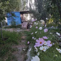 باغ بر کمربندی سوم روستای صومعه|فروش خانه و ویلا|اردبیل, |دیوار