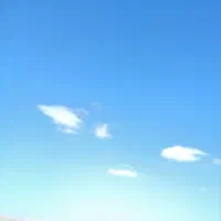 نیازمند ضامن