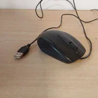 موس سالم green