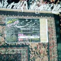 یک جفت فرش ۱۲ متری نگین مشهد|فرش|چناران, |دیوار