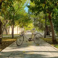 دوچرخه ژاپنی برقی|دوچرخه، اسکیت، اسکوتر|ری, علایین|دیوار