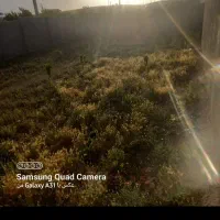 فروش فوری۳۵۰ متری داخل  طرح هادی