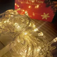 ریسه ال ای دی 100-LED|ریسه و چراغ تزئینی|یزد, |دیوار