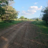 زمین باغ در جاده سلماس روبروی کهریز روستای گل تپه