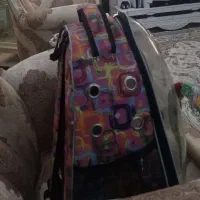 کوله پرنده 600 تومن