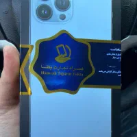 ۱۳پرومکسza256