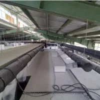 کانال کولر|خدمات پیشه و مهارت|مشهد, شایه|دیوار