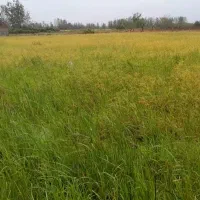 فروش-زمین-3هزار-متری