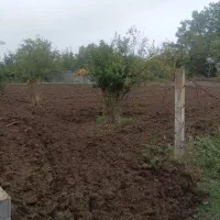 فروش فوق‌العاده