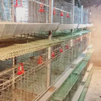 قفس مرغ و بلدرچین|لوازم جانبی حیوانات|زابل, |دیوار