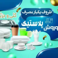 ظروف یکبار مصرف