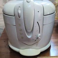 سرخ کن برقی