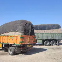 کاه نیشکر برداشت جدید نرم نرم