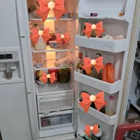 یخچال سامسونگ کاملا سالم|یخچال و فریزر|شیراز, داریون|دیوار