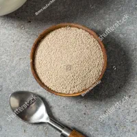 توزیع مخمر لاوین EC1118 ریپک 500 گرمی و 100 گرمی|خوردنی و آشامیدنی|تهران, نجات اللهی|دیوار