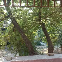 باغ ۱۵۰۰ متر در شهریار لم آباد|فروش خانه و ویلا|تهران, گیشا|دیوار