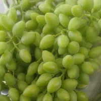 فروش غوره و آبغوره