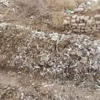 کود کبوتر|خدمات باغبانی و درختکاری|پیشوا, |دیوار