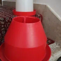 دان خوری ودوتا آب خوری پرنده
