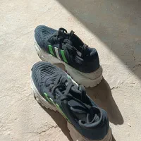 کفش اسپرت سایز 37 در حد نو دوخت شده|کیف، کفش، کمربند|هیرمند, |دیوار