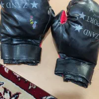 حلقه تناسب اندام ودستکش بوکس|تجهیزات ورزشی|فسا, |دیوار