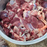 قصاب سیار ( غرب تهران )|خوردنی و آشامیدنی|تهران, خلیج فارس|دیوار