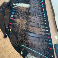 مو مومو مو مو