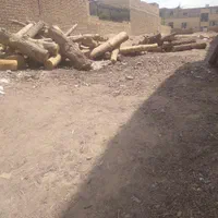 خریدن وبریدن انواع چوب با بهترین قیمت