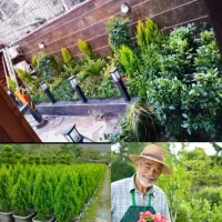 خدمات باغبانی تعویض خاک گلدان کاشت گل باغبان سمپاش