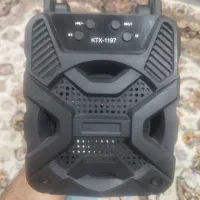 باند  خانگی