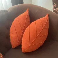 ۲ عدد کوسن
