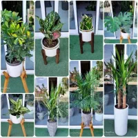 رُخ|گل مصنوعی|تربتحیدریه, بی بی حسنیه|دیوار