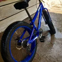 دوچرخه ساحلی لاستیک پهن