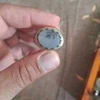 انگشترنقره|جواهرات|تهران, آرژانتین|دیوار