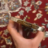 ایفون ۱۳ پرو مکس ۲۵۶ گیگ zda با ۱۰ ماه گارانتی|موبایل|تهران, سعادت‌آباد|دیوار
