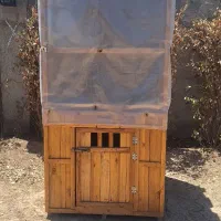 جای مرغ و سگ