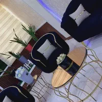 مبلمان  چستر کاملا نو