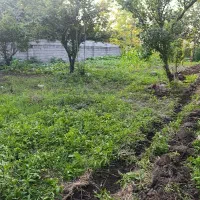 زمین با کاربری مسکونی