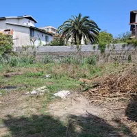 زمین-ساحلی315متری-سنددار-مناسب-آپارتمان-سازی-خشتسر